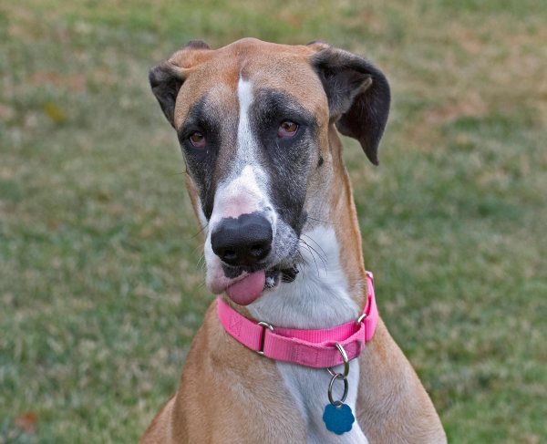 r-d_bella-GD_810_6263