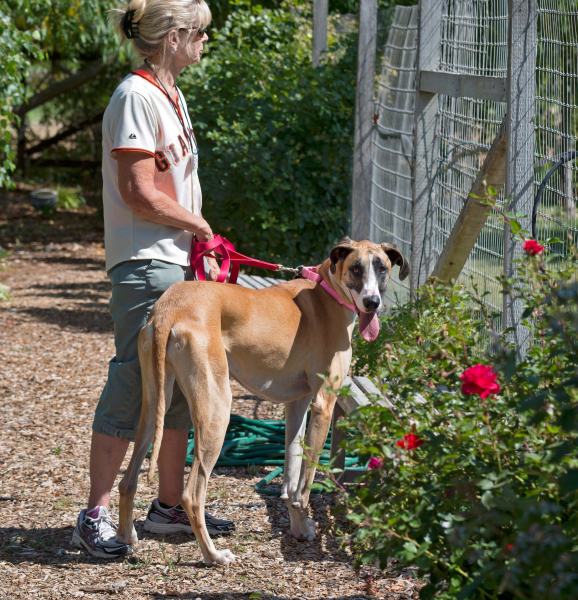 r-d_bella-GD_D4S_4184