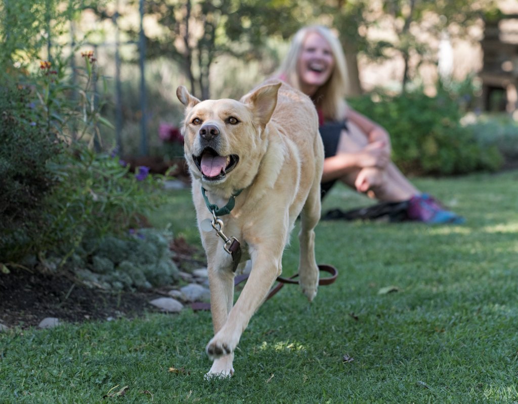 _r-d_scrap-lori_3355x