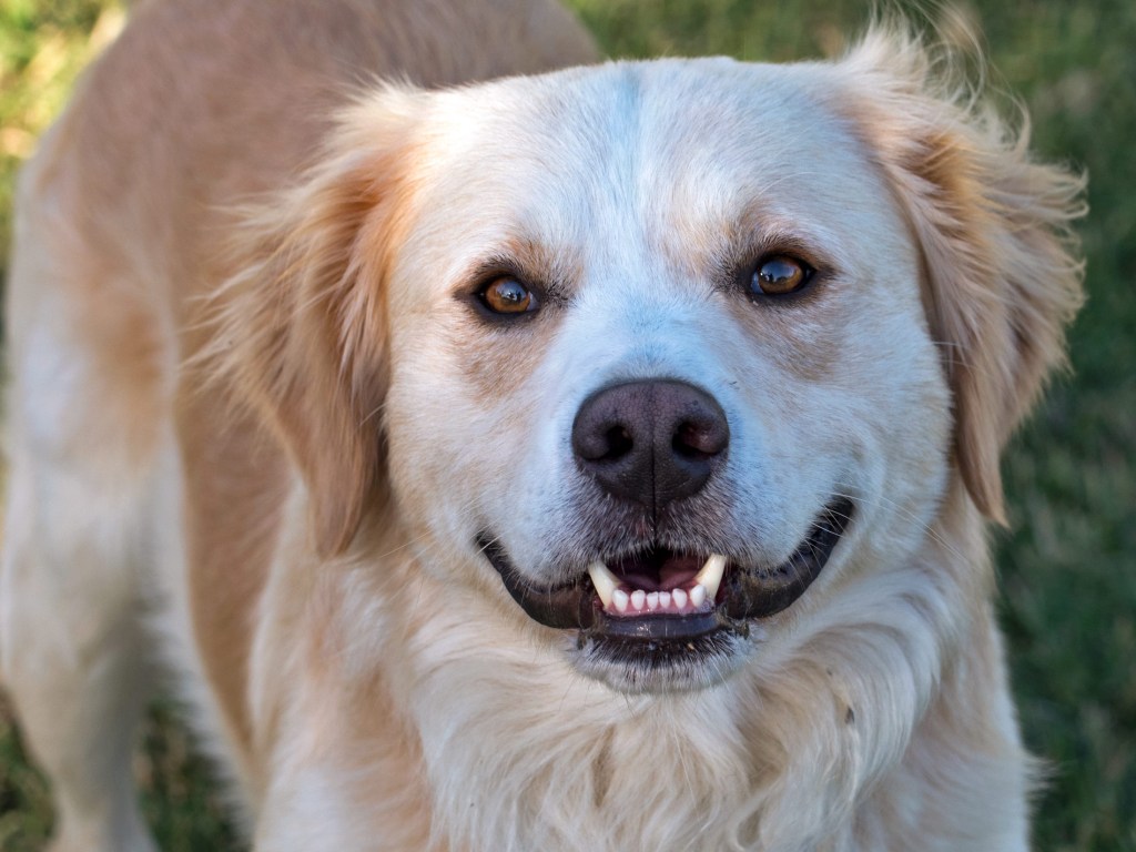 r-d_Hershal_810_7627