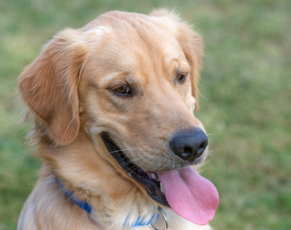 r-d_marshall_D4S_9581