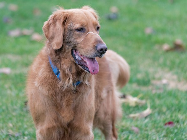 r-d_spresso_810_7096