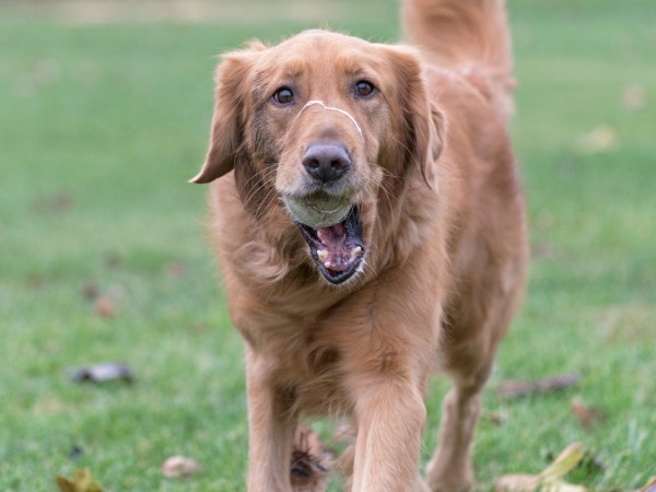 r-d_spresso_810_7103