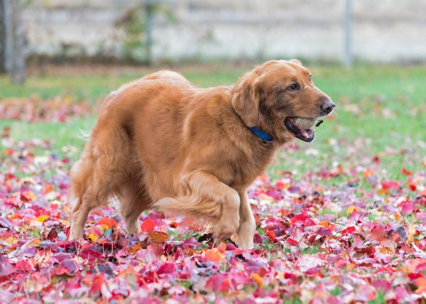 r-d_spresso_810_7110