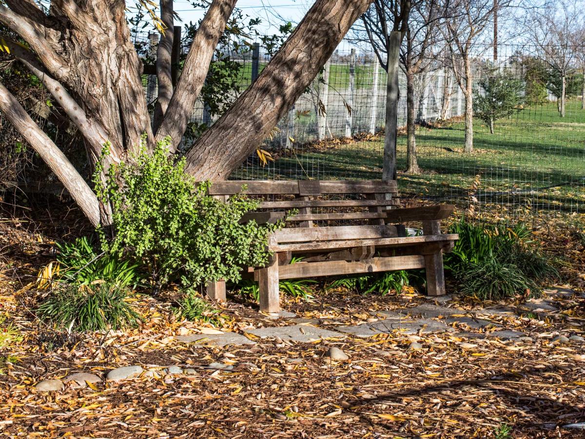 r-d_willow-bench_810_7576