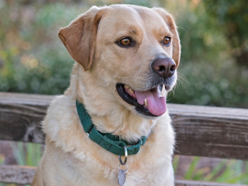 __r-d_scrap_810_9327