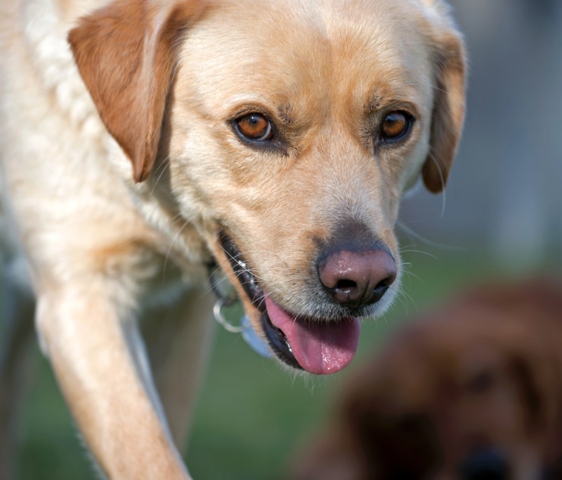 __r-d_scrap_D4S_0249