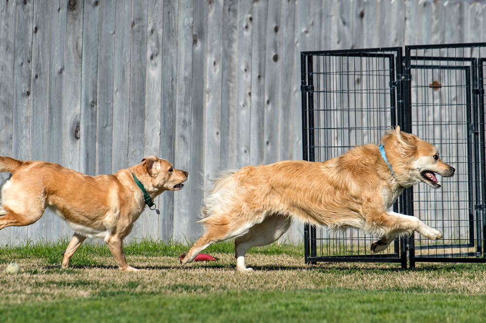 _r-d_scrap-yule_D4S_1840x