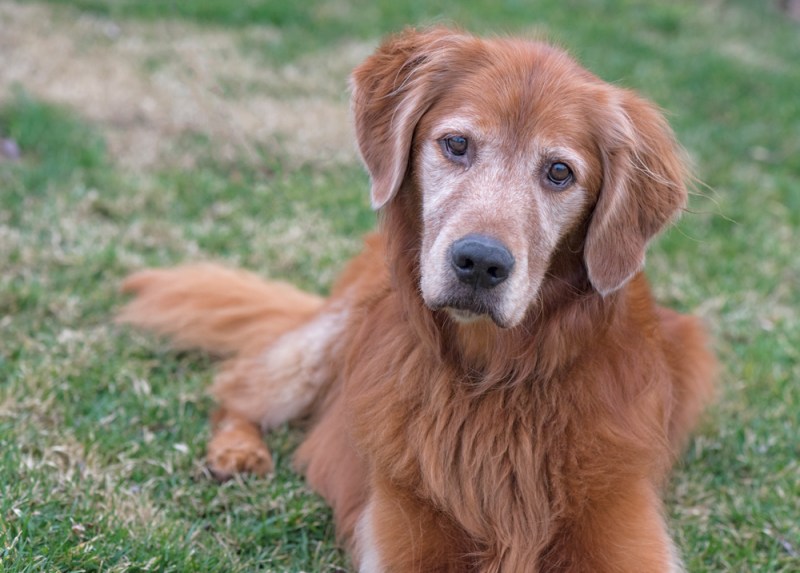 _r-d_winston_810_2935