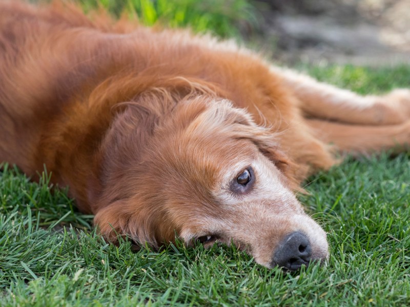 _r-d_winston_810_4551