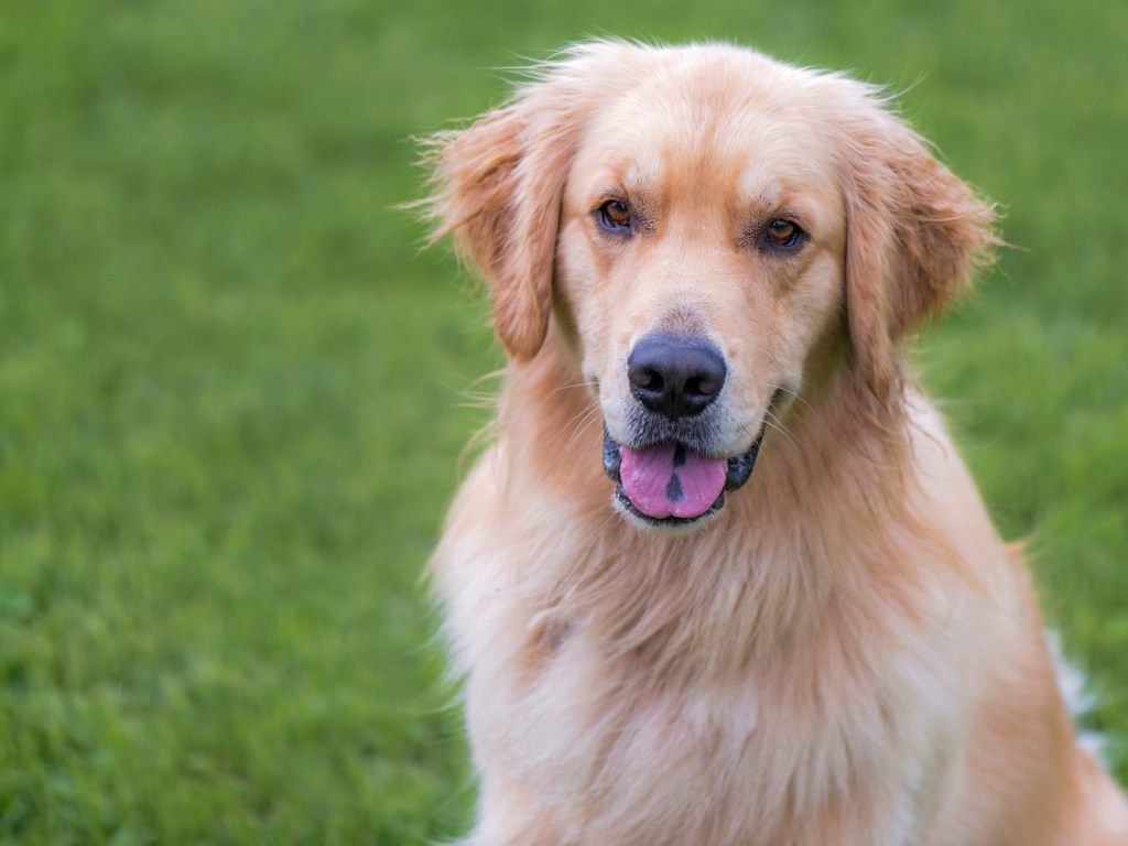 _r-d_charlie_810_7219