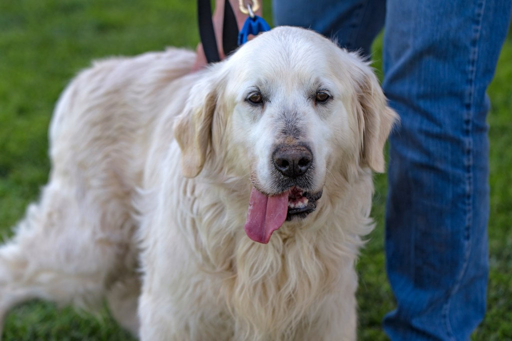 _r-d_duncan_750_6615