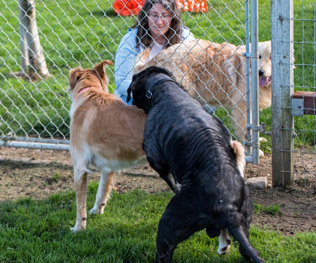 _r-d_nash-mount_750_6736