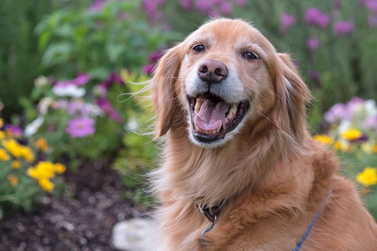 r-d_jackson_750_8954