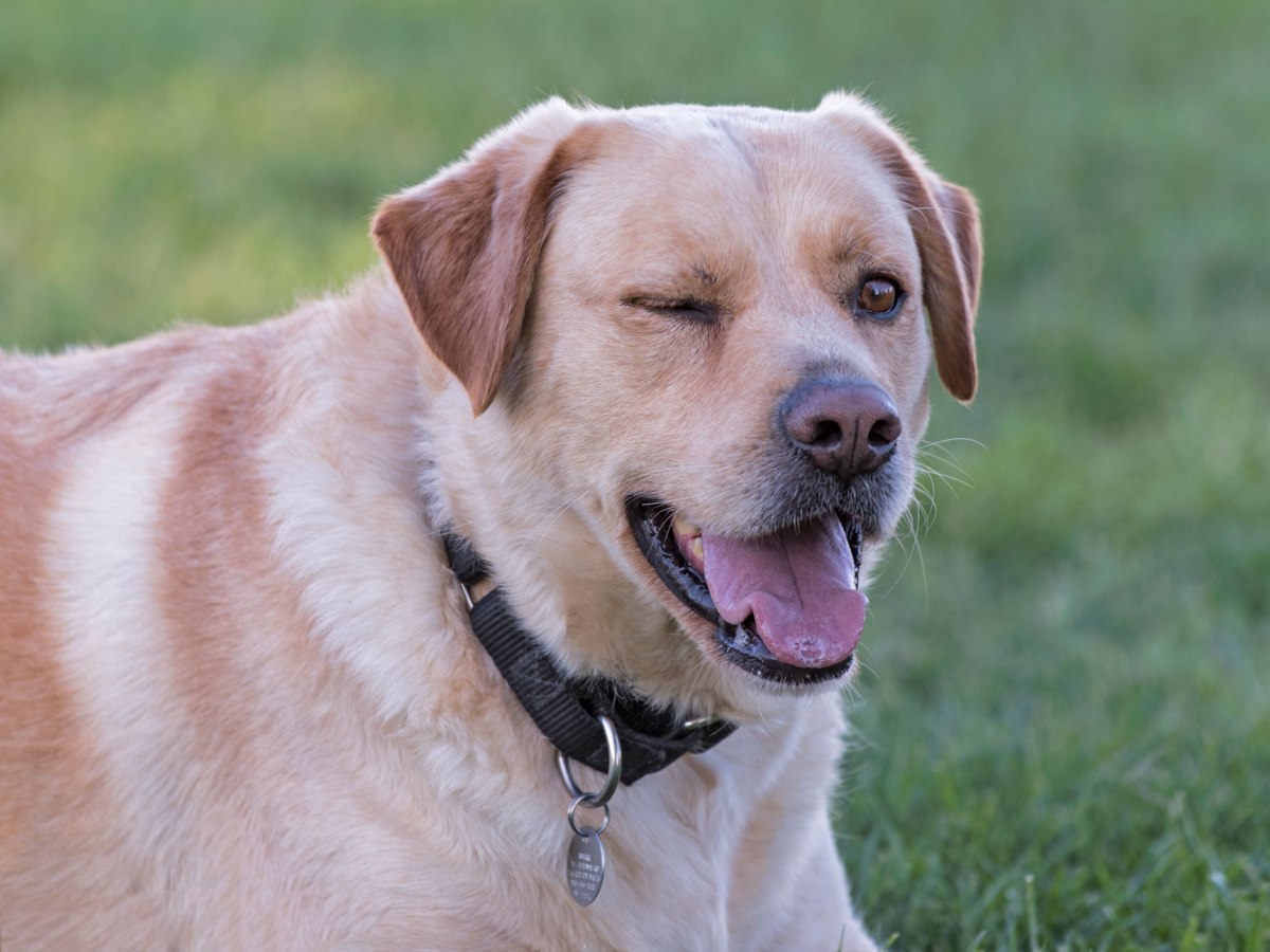 r-d_scrap_DSC_1260_alt