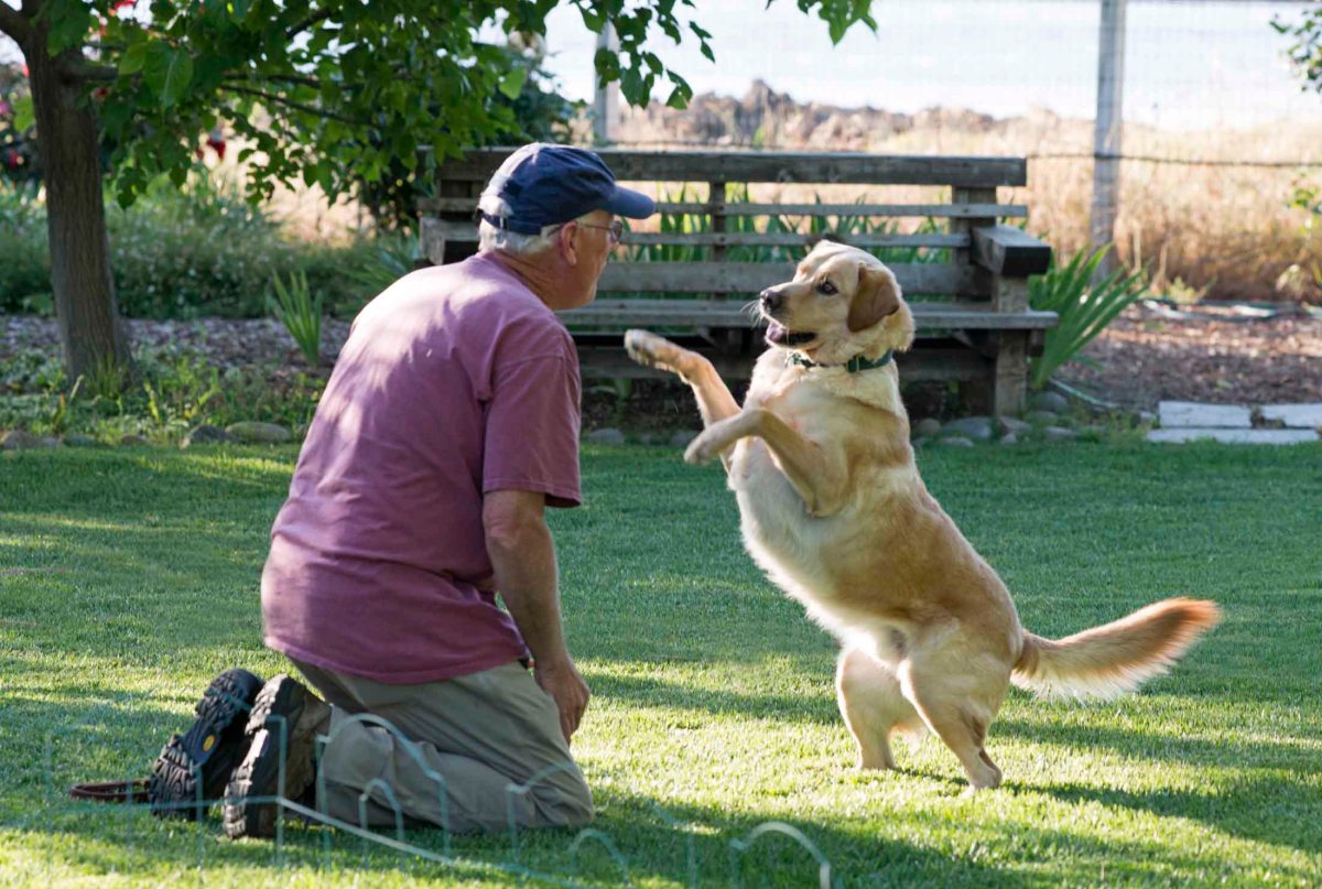 Scrappy_RMK_DSC_6526