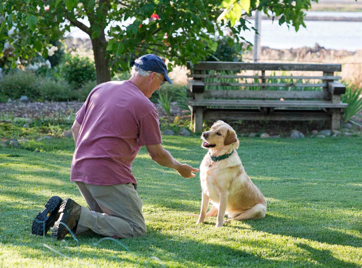 Scrappy_RMK_DSC_6539