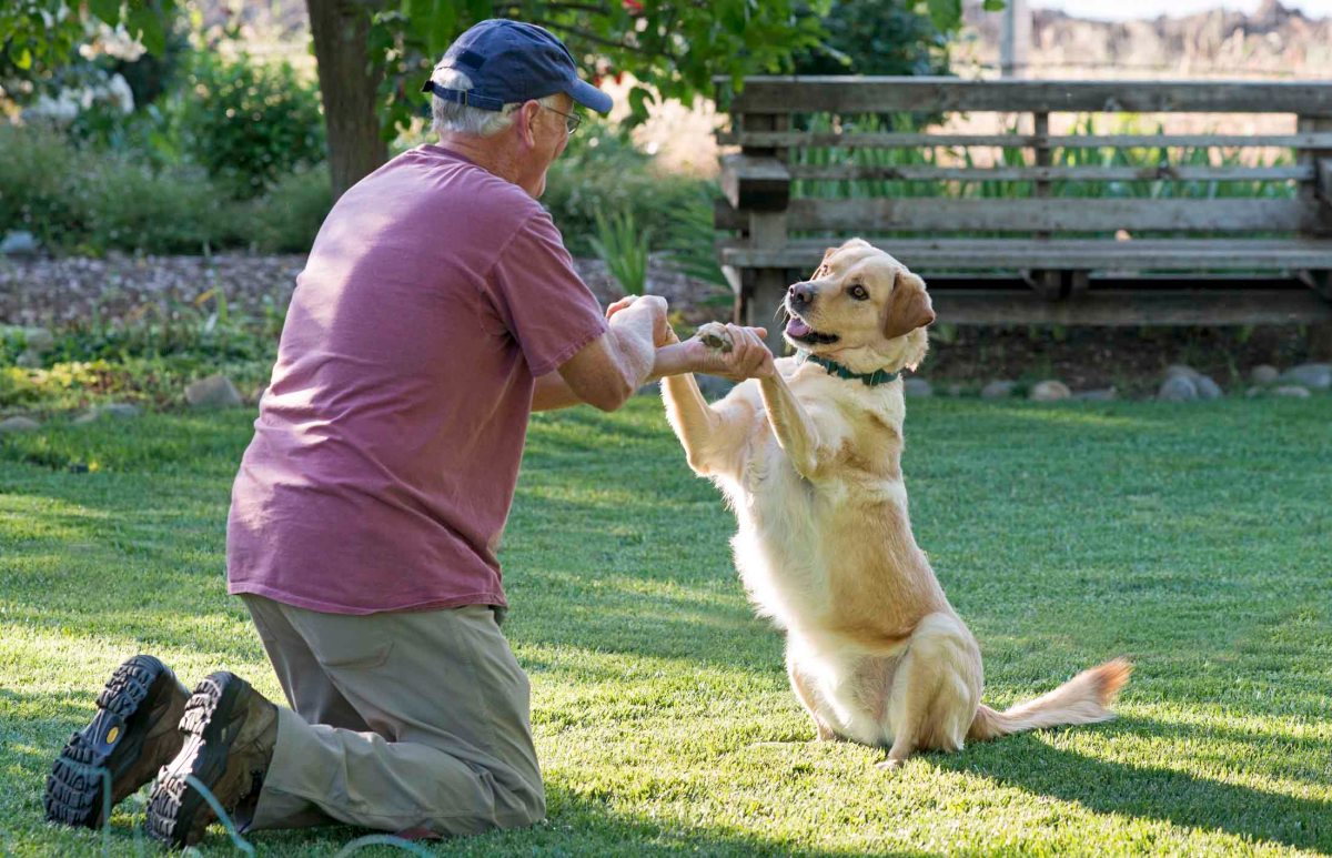 Scrappy_RMK_DSC_6549