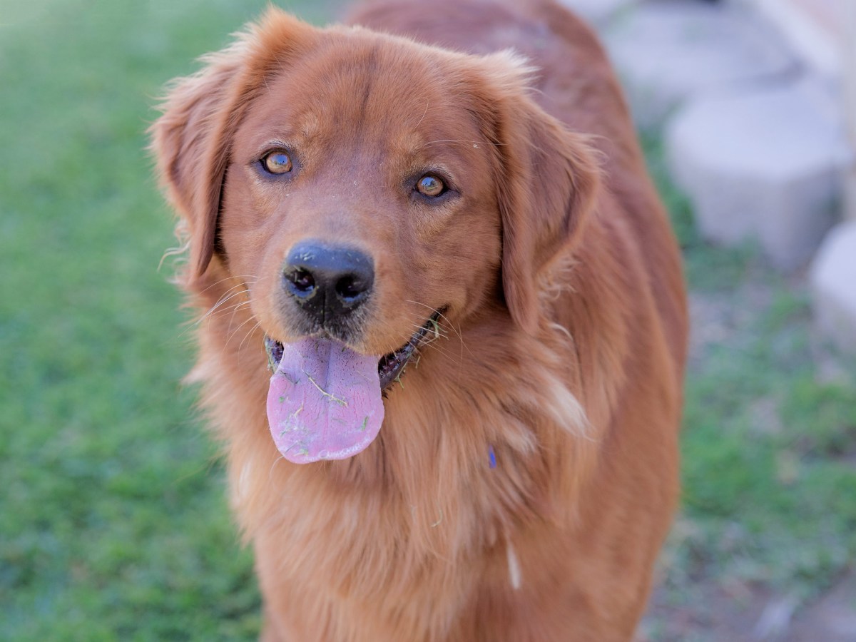 r-d_killian_810_1169