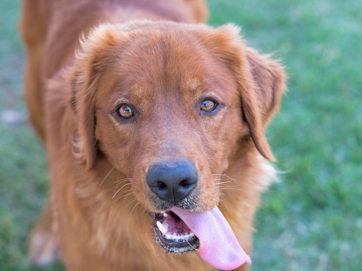 r-d_killian_810_1307