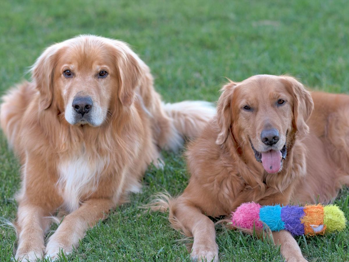 r-d_walter-spresso_7502772