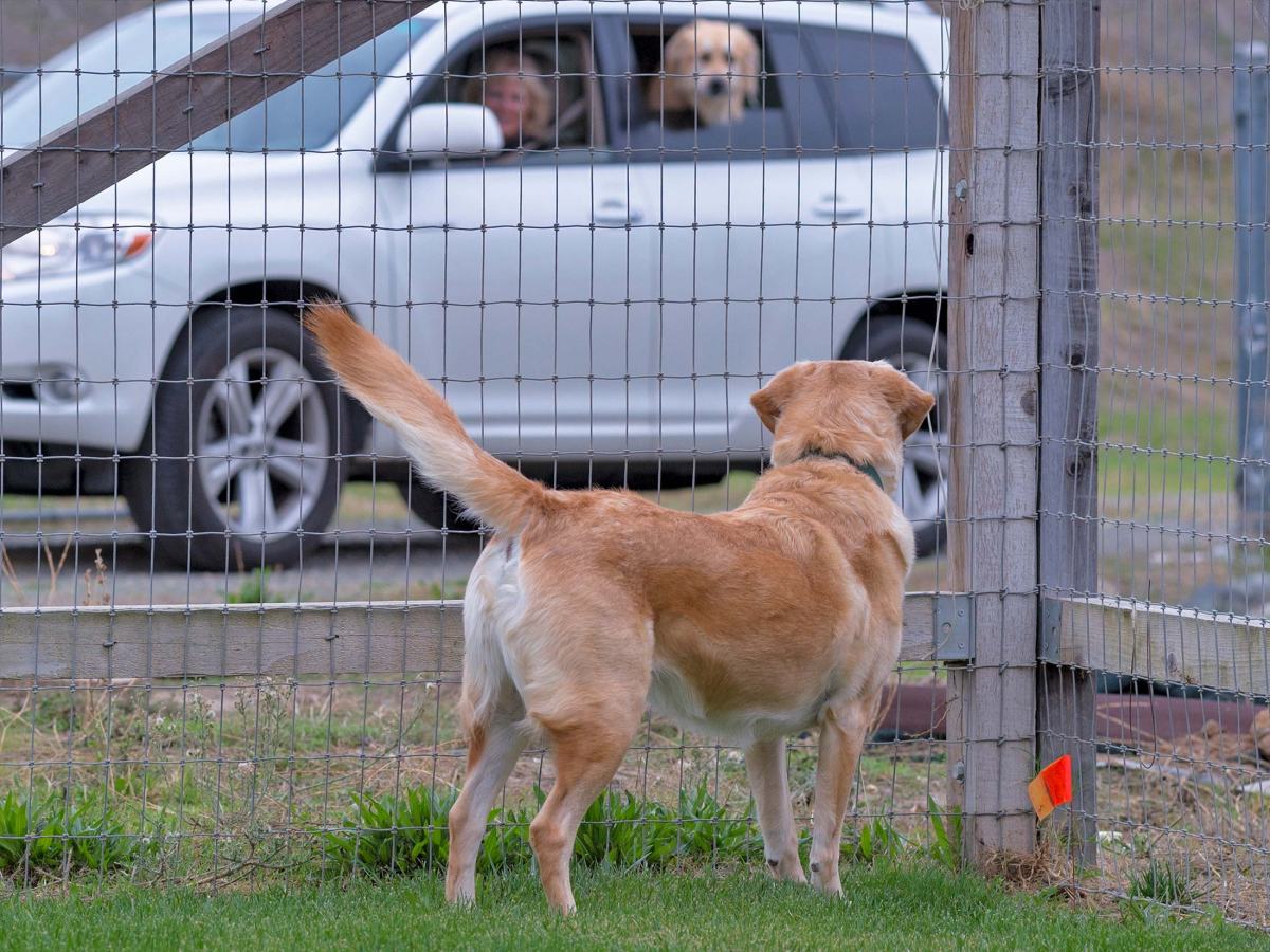 rd_scrap-yule_d4s9562