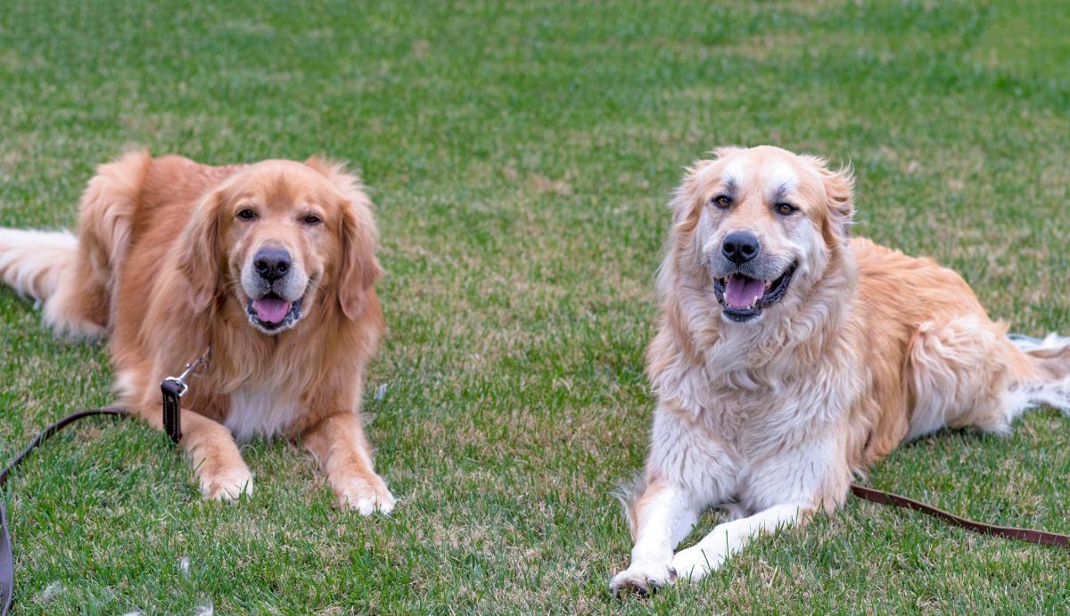 rd_yule-walter_d4s9594