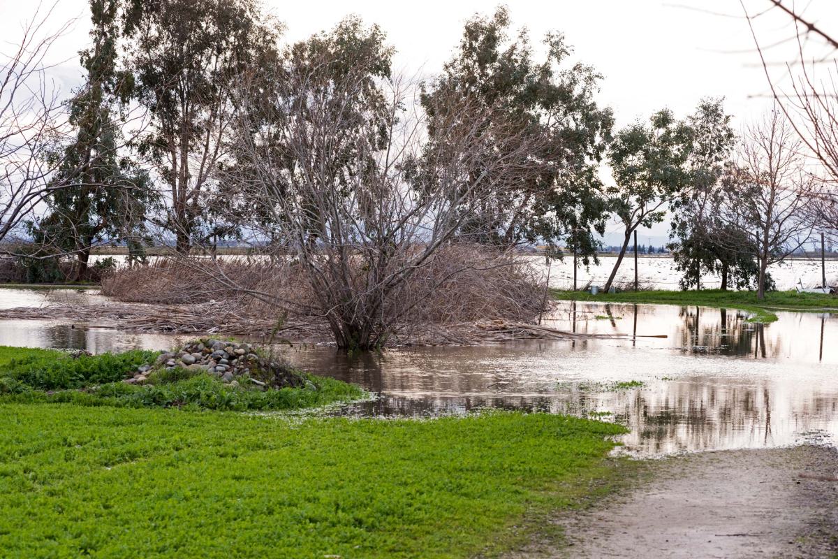 rd_8107852-pond_flood