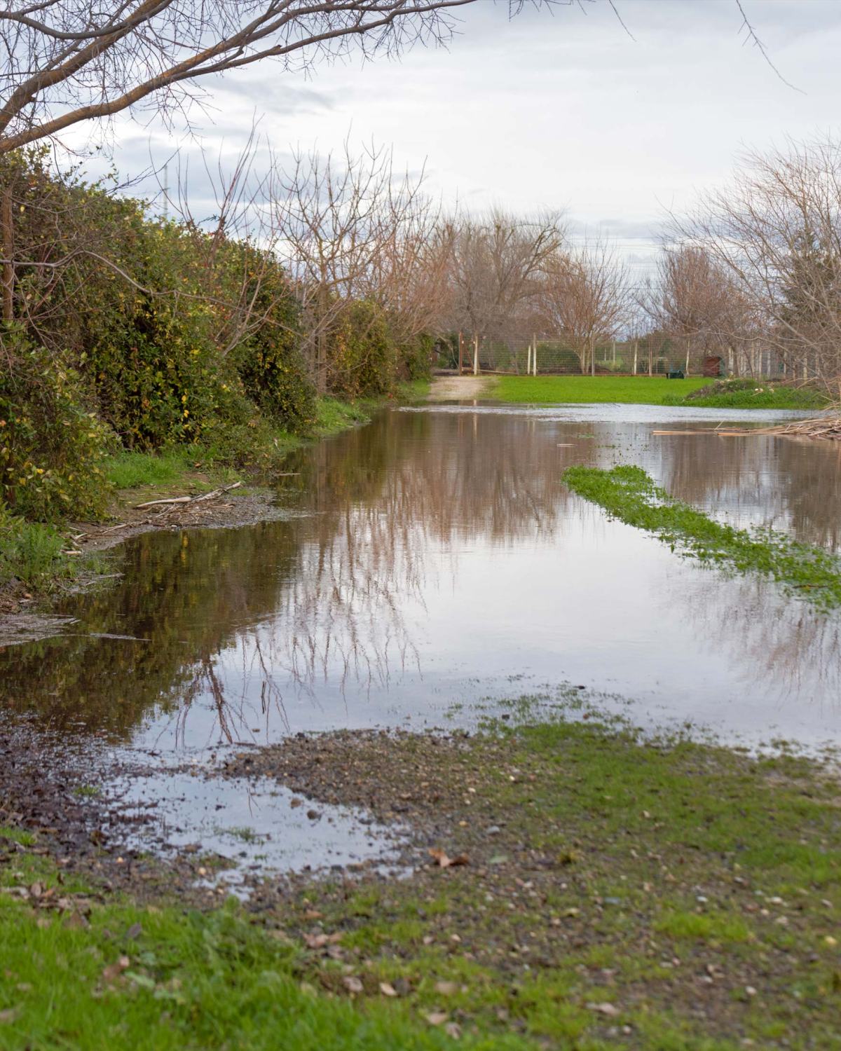 rd_8108024-pond_flood